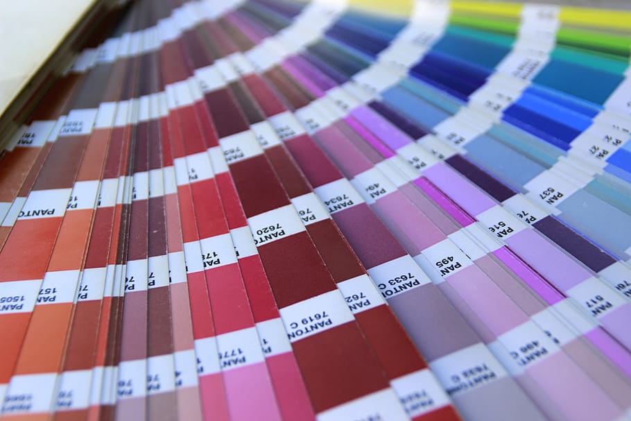 color, pantone, matices, muestras, primer plano, muestra de color, elección, multicolores, interiores, patrón