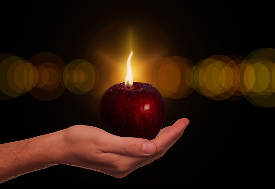 apple, hand, candle, fruit, forbidden fruit, the tree of knowledge, religion, faith, flame, light