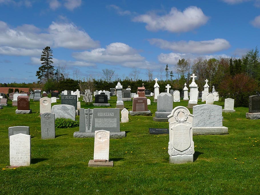 assorted-color tombstones, daytime, Graves, Cemetery, Graveyard, Tombstone, cross, tomb, funeral, stone