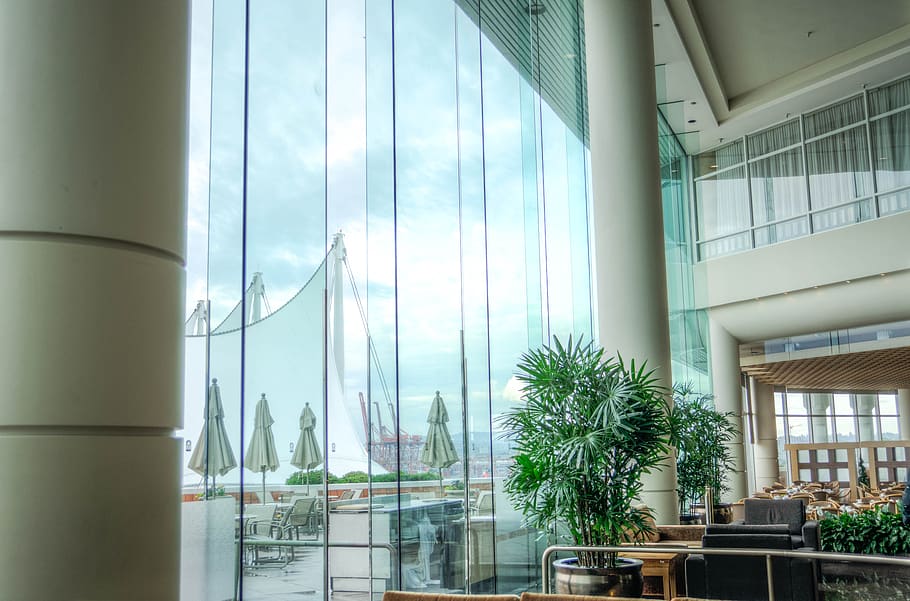 vancouver, canada, outside, harbor, pan pacific hotel, lobby, plant, day, glass - material, window