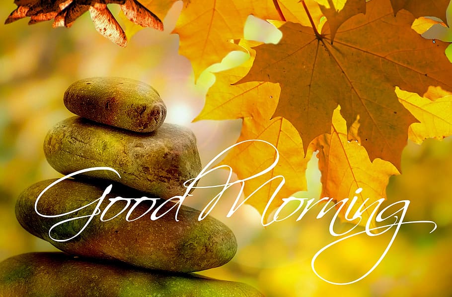 daun maple, batu, baik, overlay teks pagi, engsel, selamat pagi, teks, musim gugur, pohon, salam