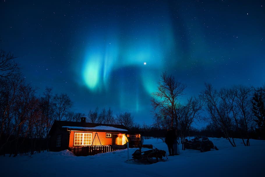 nature, aurora, snow, blanket, trees, house, cottage, cabin, lights, sleds