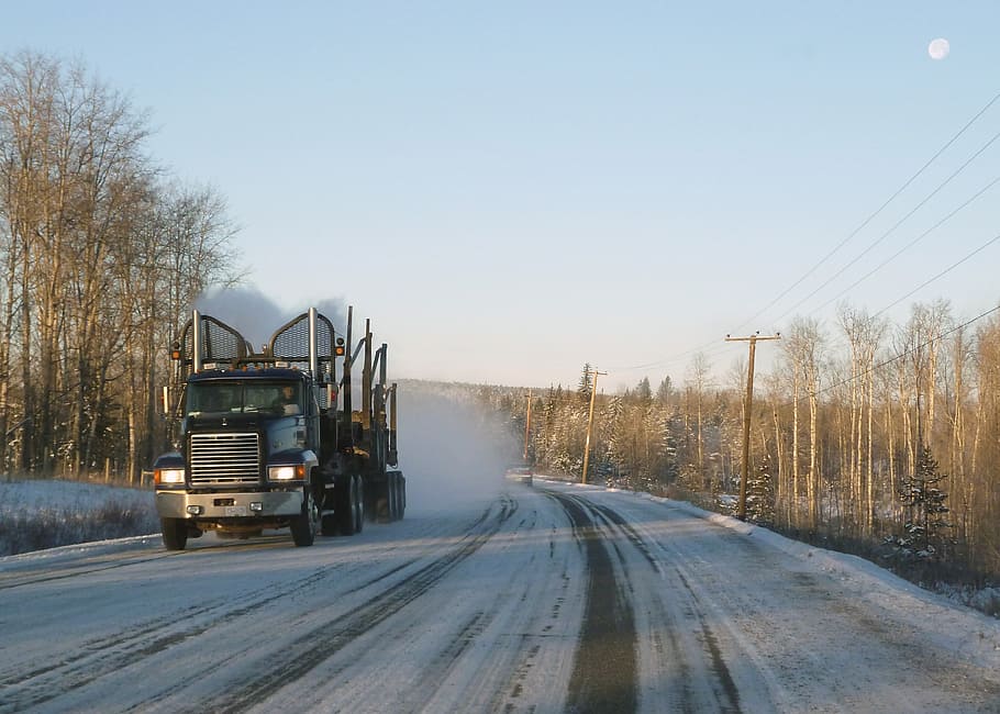 黒, セミトラック, 雪道, ロジスティクス, 伐採, トラック, 輸送, 雪に覆われ, 道路, 寒さ