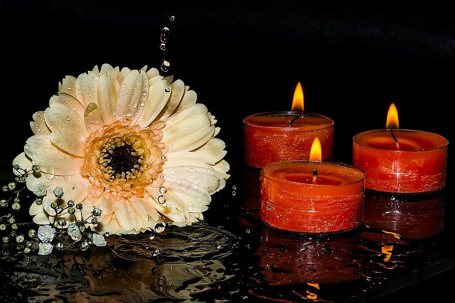 white, daisy flower, lighted, tealight candles, gerbera, gypsophila, candles, candlelight, flame, burning candles