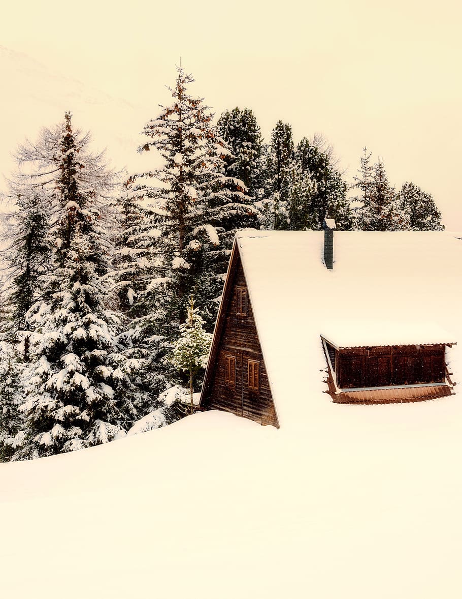 italy, log cabin, cottage, home, landscape, winter, snow, forest, trees, woods