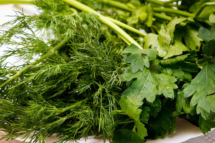 dill, parsley, greens, food, nutrition, healthy, vitamins, fresh, delicious, winter