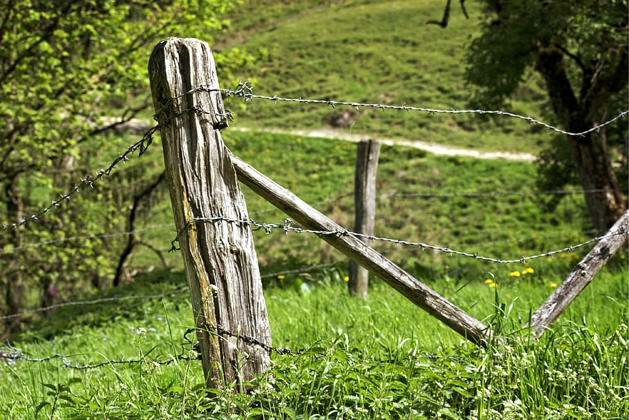post, pasture fence, fence, demarcation, old, wire, pile, pasture, cattle fence, wooden posts