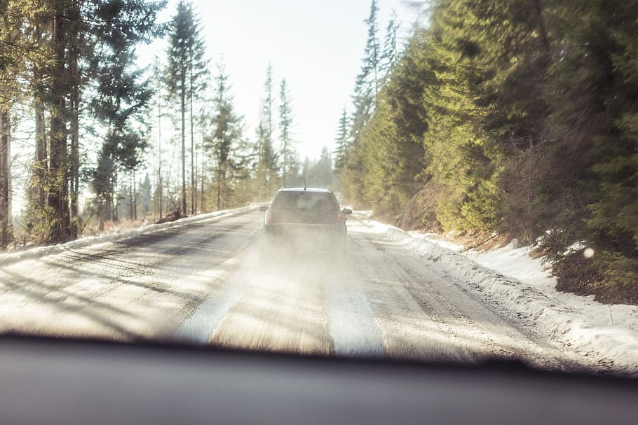 mengikuti, Mobil, Jalan Hutan, dingin, berkendara, mengemudi, hutan, alam, jalan, salju