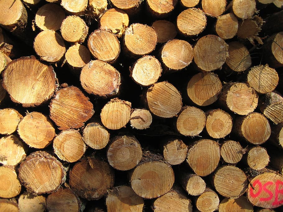 wood, nature, durable, logging, wood - Material, lumber Industry, tree, stack, firewood, timber