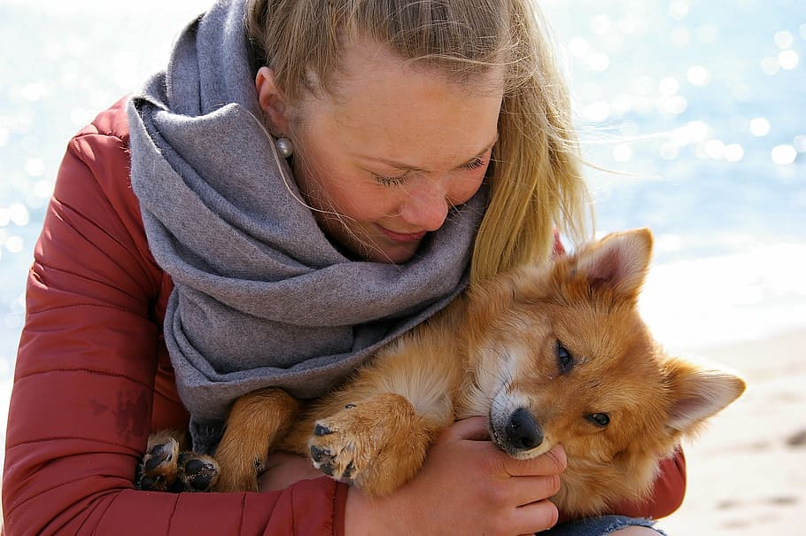 brown fox, together, joy, sammhörighet, friends, trust, woman, dog, young, one person