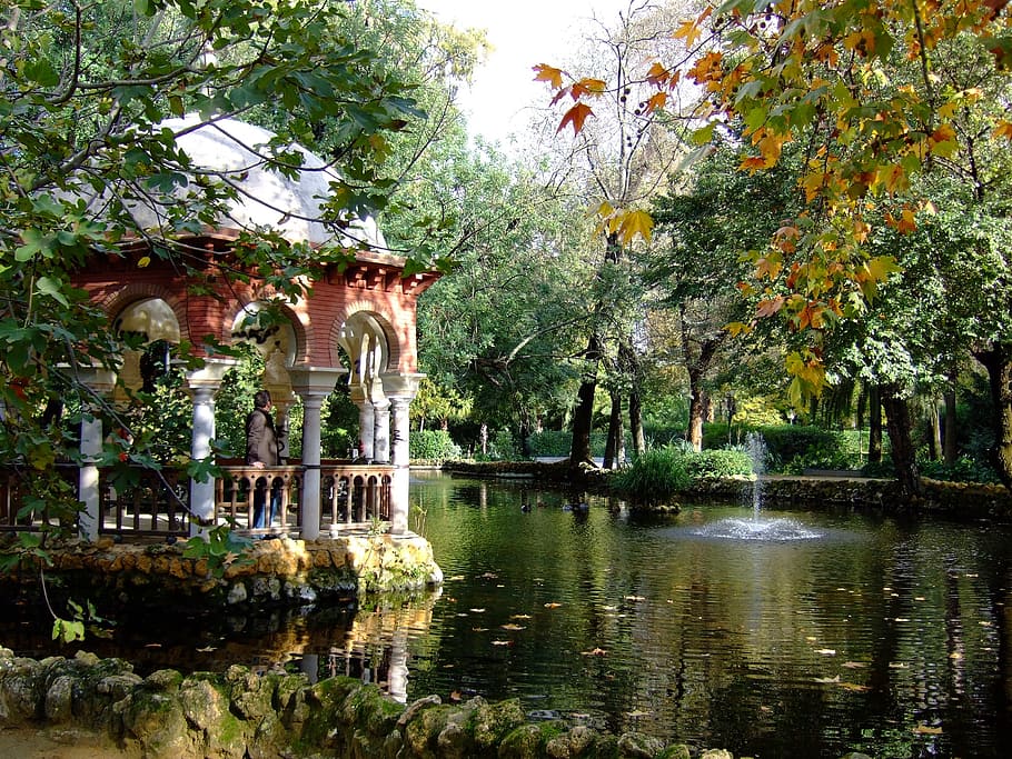 person, gazebo, looking, trees, body, water, maria luisa park, pond, seville, andalusia