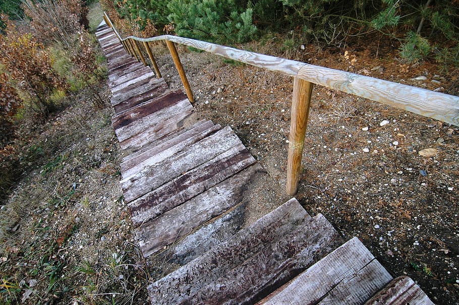 Stairs, Wood, Leak, steps, steps and staircases, staircase, high angle view, railing, wood - material, direction