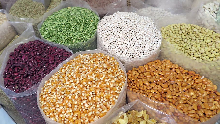 variedade de sementes, grãos, milho, feijão, semente, naturais, saudável, cereais, fresca, vegetal