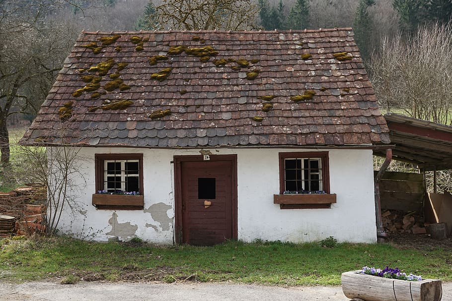 brown, white, concrete, house, surrounded, green, grass, home, farm, village