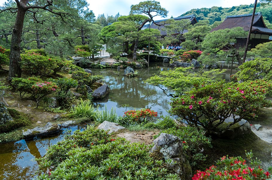 cuerpo, agua, rodeado, flores, plantas, casa, jardines ginkaku-ji, kyoto, japón, naturaleza
