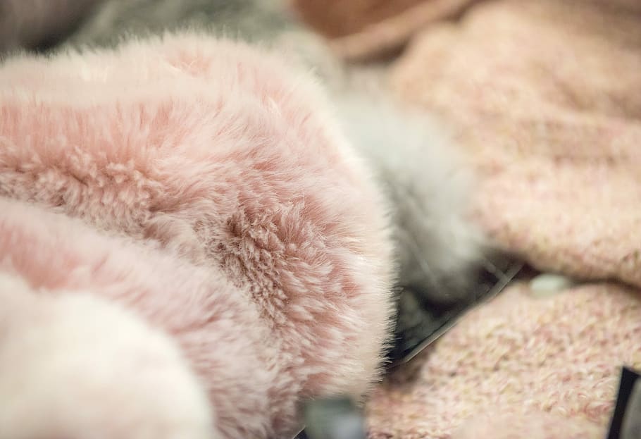 Fashion, Pink, Warm, fur, softness, wool, fluffy, close-up, sheepskin, animal