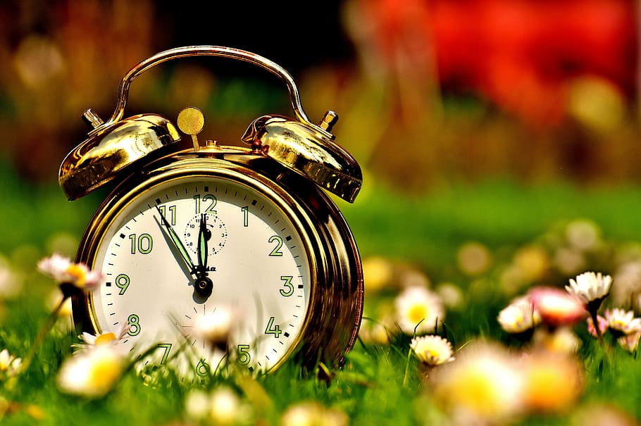 brown, double, bell alarm clock, green, field, the eleventh hour, environmental protection, rethinking, nature, disaster