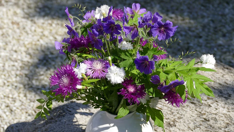 strauss, vase, flowers, gift, decoration, congratulations, birthday bouquet, flowering plant, flower, plant