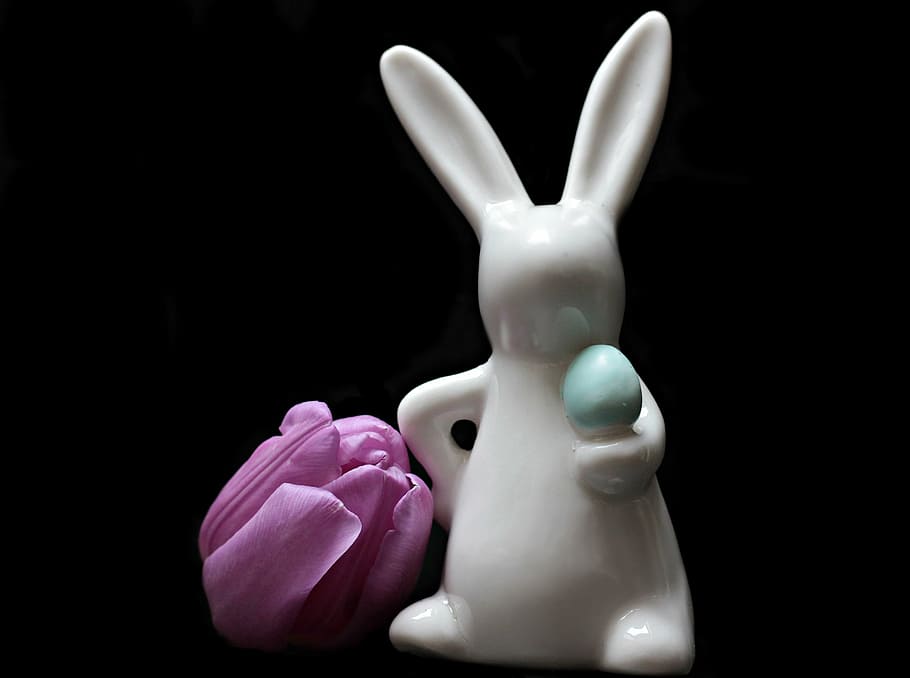 white ceramic rabbit, tulip, flower, hare, easter bunny, tulpenbluete, tulip head, black background, purple, violet