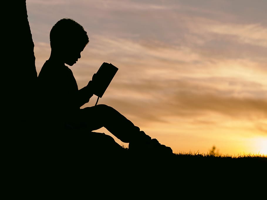 silhouette photo, boy, holding, book, people, man, kid, child, read, sunset