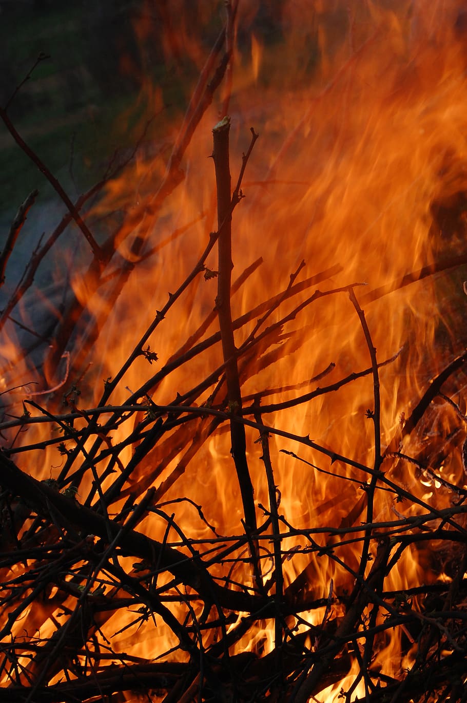 panas, api, luar, elemen, bakar, sikat, kayu, pembakaran, suhu panas, api - fenomena alam
