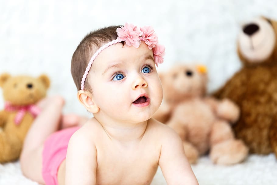 bayi, mengenakan, merah muda, bunga, ikat kepala, gadis, boneka beruang, pita bunga, mainan, muda
