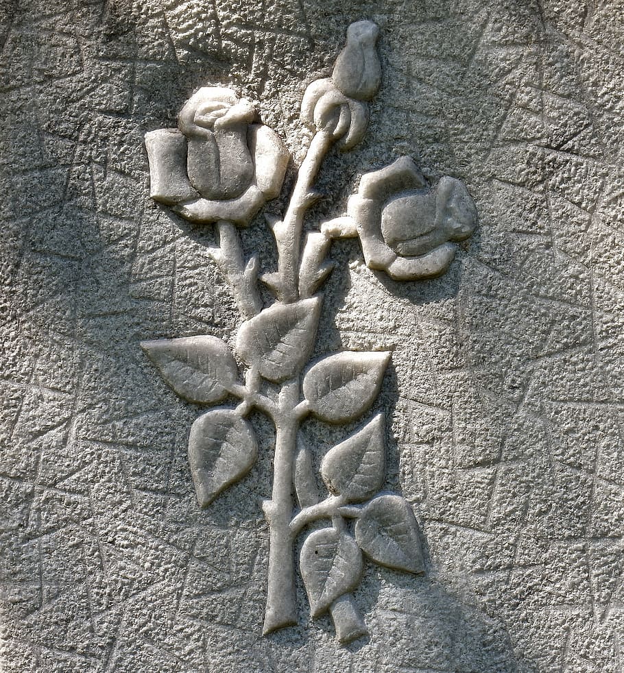 roses, stone, relief, bas relief, close-up, day, outdoors, built structure, carving - craft activity, architecture