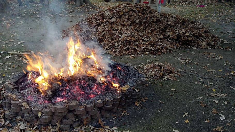 burning, leaves, Fire Pit, Burning Leaves, backyard fire pit, camp fire, fire, glow, orange, heat