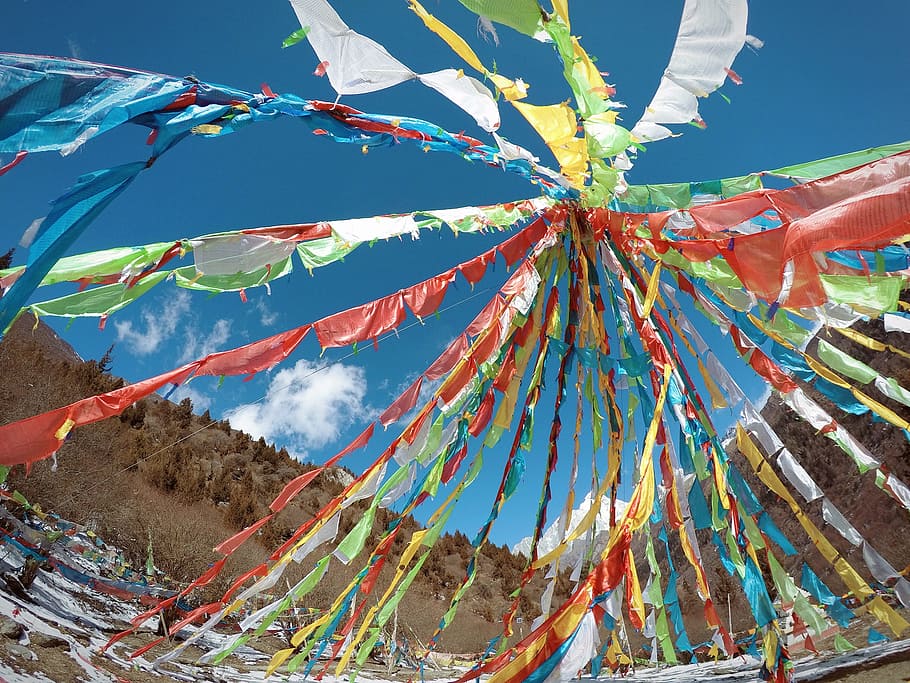 Prayer Flags, Baita, Scenery, the scenery, multi colored, day, outdoors, close-up, nature, sky
