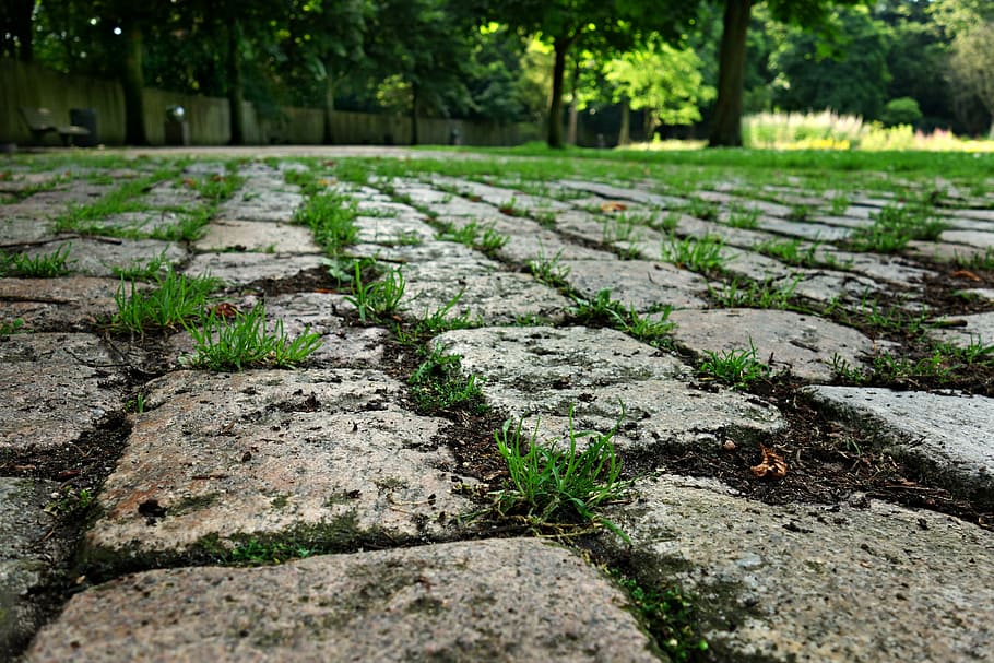 pedra, calçada portuguesa, calçada, rua, passagem, pavimento, superfície, urbano, velho, vintage