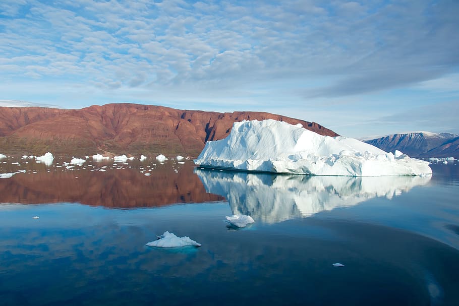 iceberg, swimming, water, ocean, nature, arctic, ice, sea, blue, white