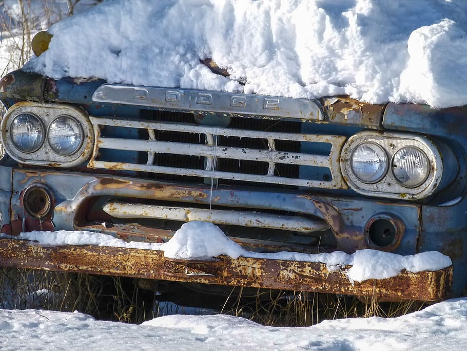 cubierto de nieve, viejo, camión, oxidado, invierno, nieve, frío, automóvil, transporte, vado