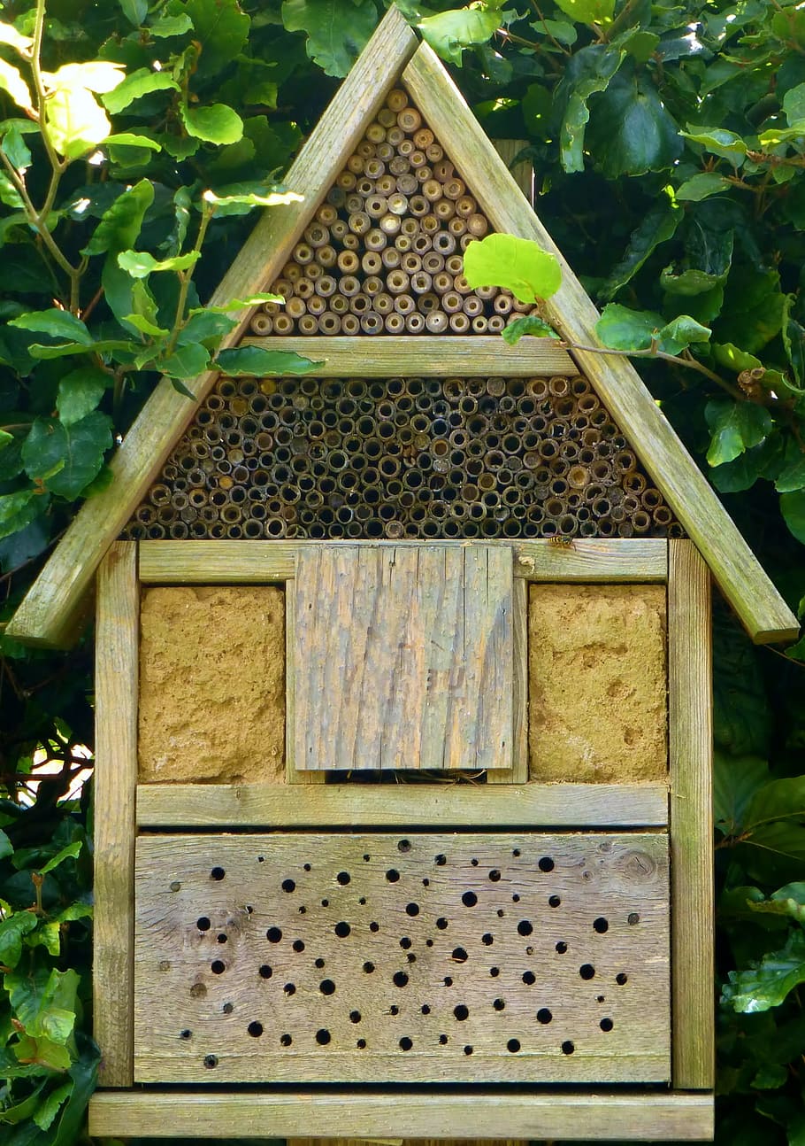 hotel de insectos, abejas, bloque de madera, hotel de abejas, insectos, madera, naturaleza, abejas silvestres, hotel de abejas silvestres, conservación de la naturaleza