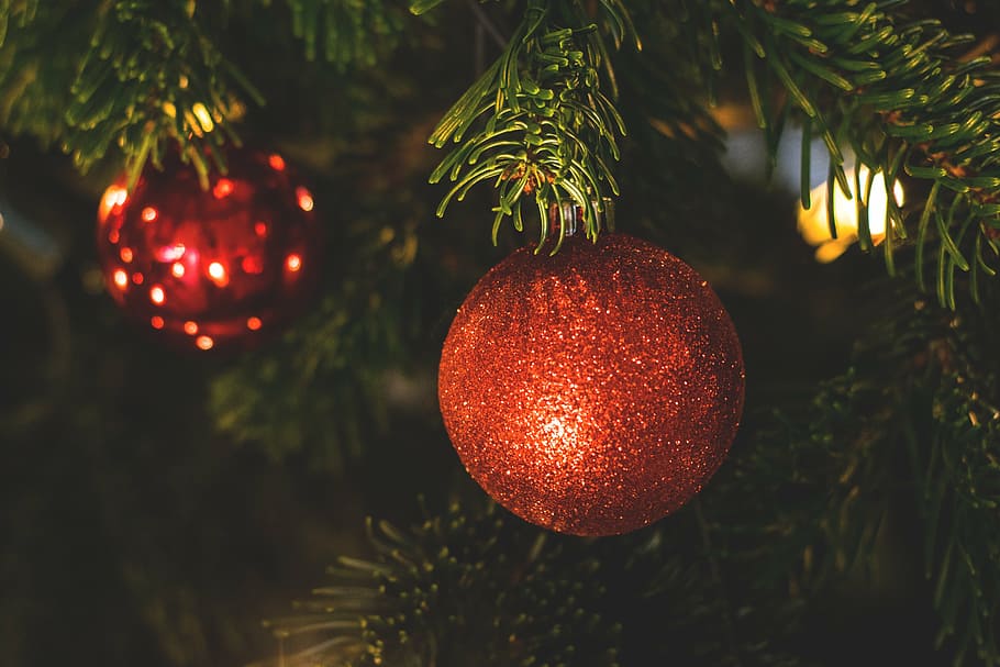 丸い赤い安物の宝石, クリスマス, クリスマスの飾り, クリスマスボール, クリスマスツリー, クリスマスの時間, クリスマスの精神, 木, 果物, お祝い