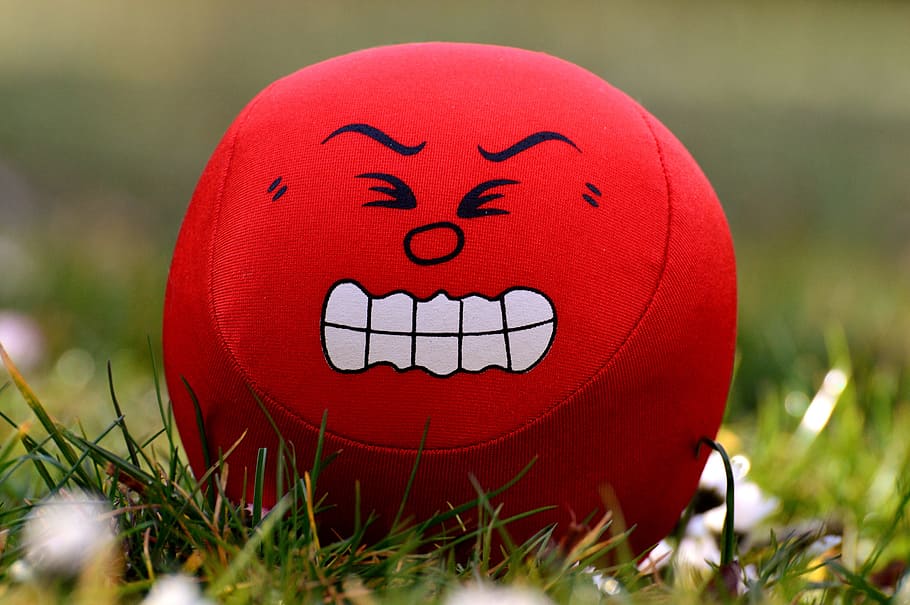 red, white, angry, printed, plush, toy, green, grass photography, smilies, emotions