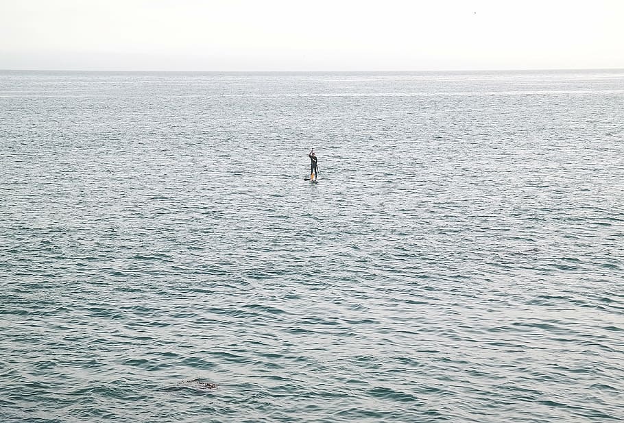 Persona, de pie, playa, tabla de surf, medio, cuerpo, agua, gris, blanco, soleado
