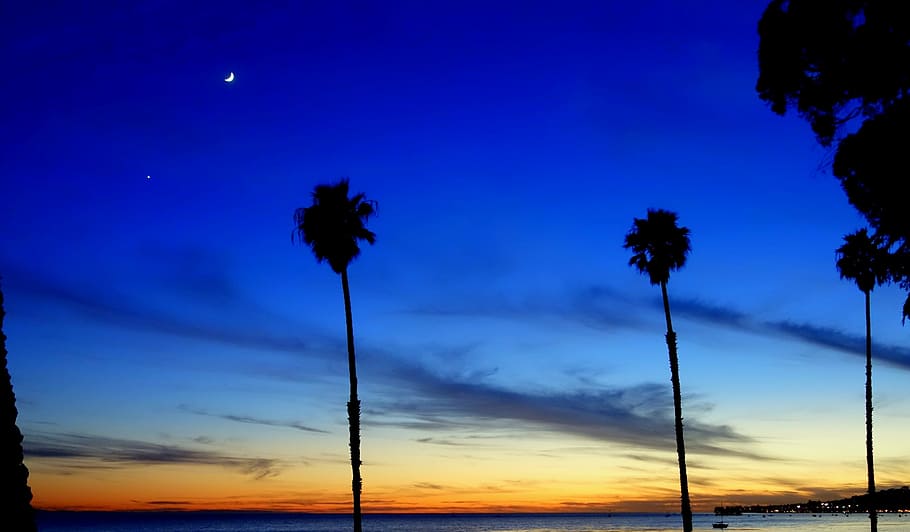 ロサンゼルス, サンタバーバラ, ビーチ, 夕日, 光, 海, 夕暮れ時, ヤシの木, 空, 自然の美しさ