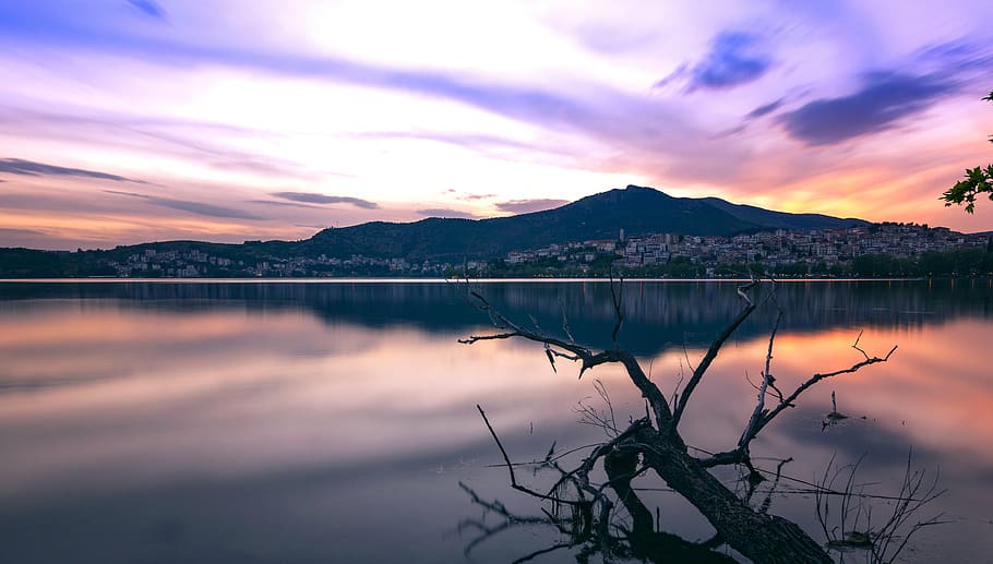 lake, tree, fallen, clouds, mountains, landscape, nature, water, reflection, sky