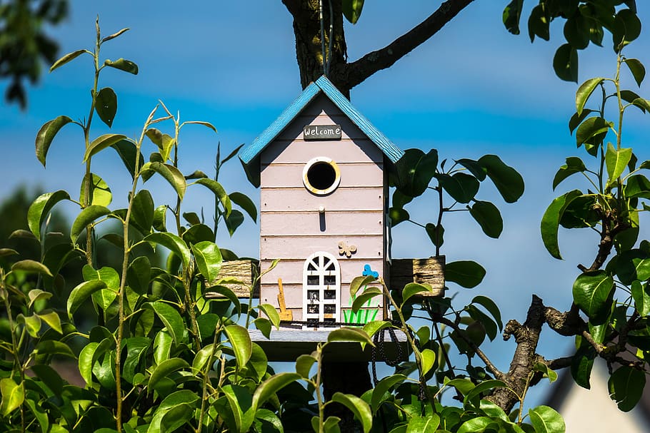 aviary, welcome, invitation, bird feeder, house, einflugloch, nest, live, home, hatchery