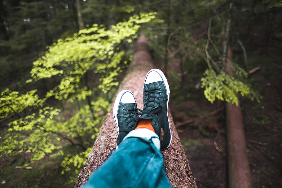 relaxing, shoes, nature, hiking, sitting, chilling, outdoors, environment, trees, leaves