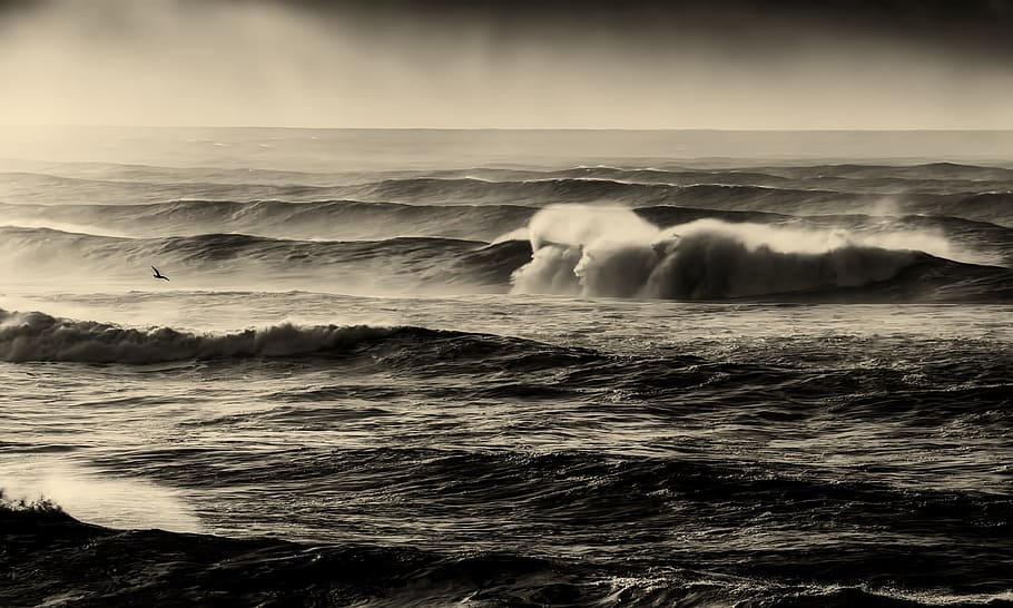 explosión de olas oceánicas, mar, océano, olas, puesta de sol, amanecer, mares agitados, naturaleza, al aire libre, blanco y negro