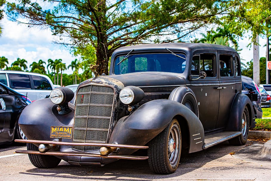 cadillac, 1934 caddy, classic car, antique auto, automobile, automotive, mode of transportation, motor vehicle, car, transportation
