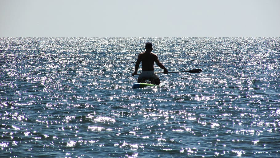 paddling, paddleboard, board, water, sport, recreation, sea, surfer, paddle boarding, waterfront