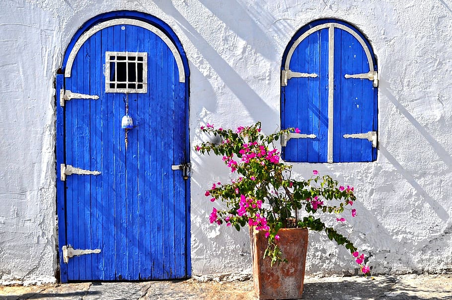 rosa, buganvillas, frente, casa, bodrum, la puerta, azul, flor rosa, puerta azul, ventana azul