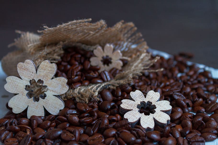 marrón, granos de café, saco, café, flores de madera, fondo, patrón, frijoles, comida, bebida
