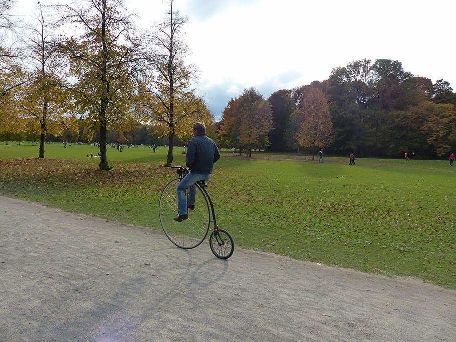 penny farthing, botas vaqueras, jardín inglés, munich, monopteros, parque, otoño, landeshaupstadt, personas reales, bicicleta