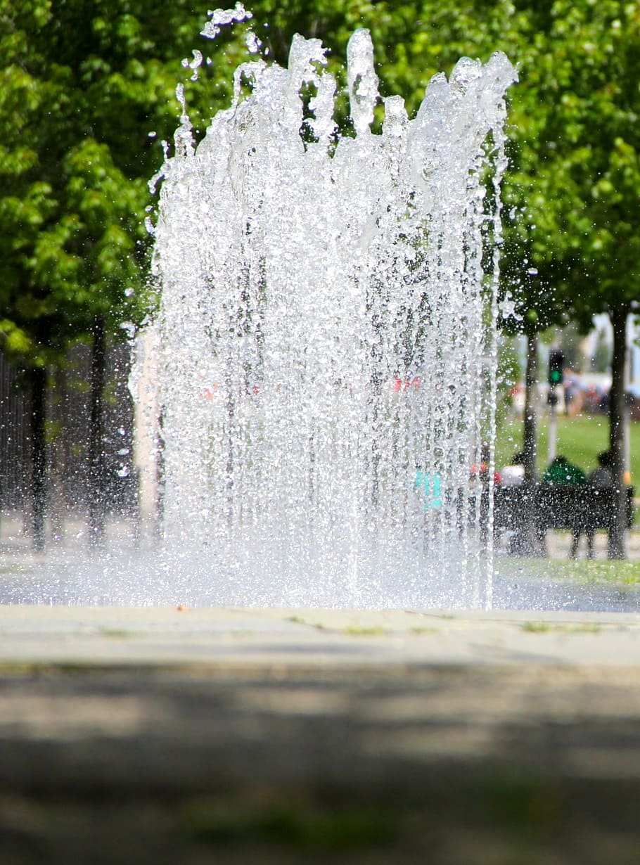 fountain, water, fountain city, water feature, motion, splashing, spraying, nature, day, plant