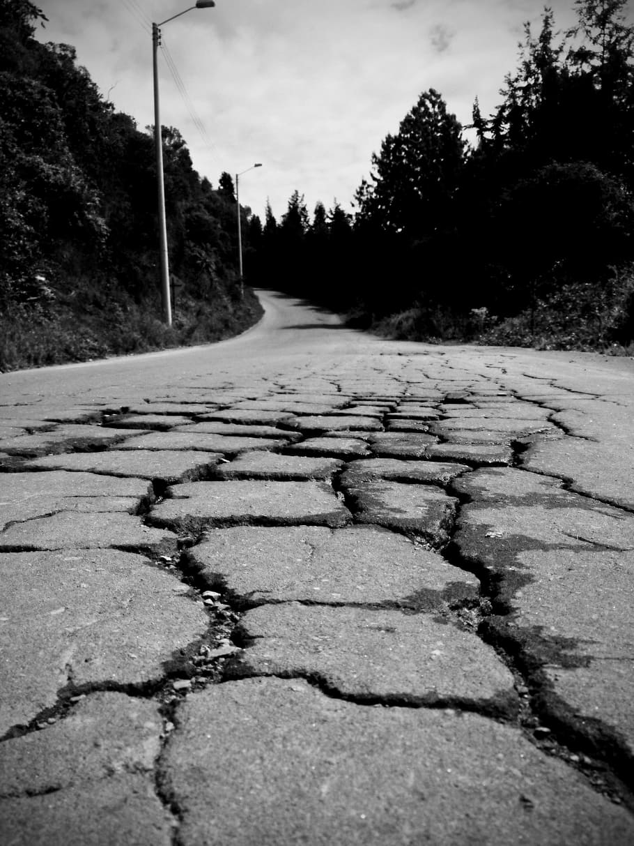 Road, Asphalt, Way, Outdoor, Drive, crack, black and white, tree, nature, outdoors