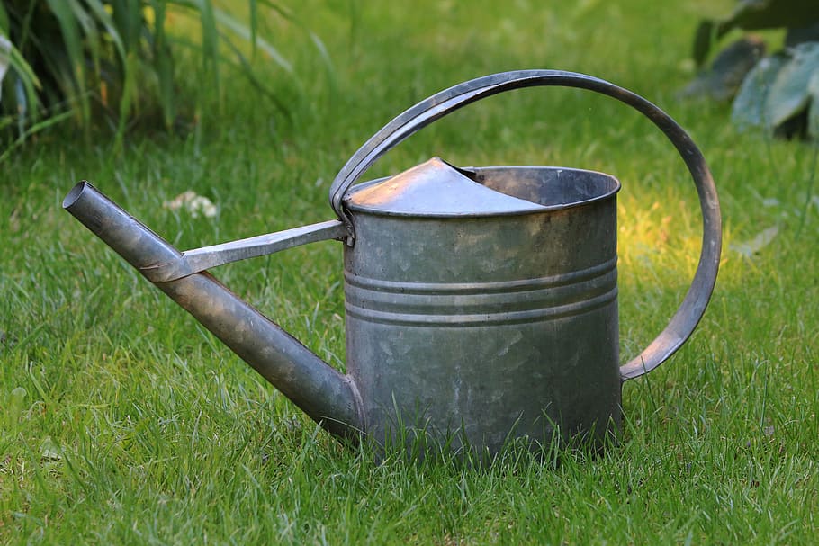 watering can, garden, grass, plant, metal, day, nature, can, green color, field