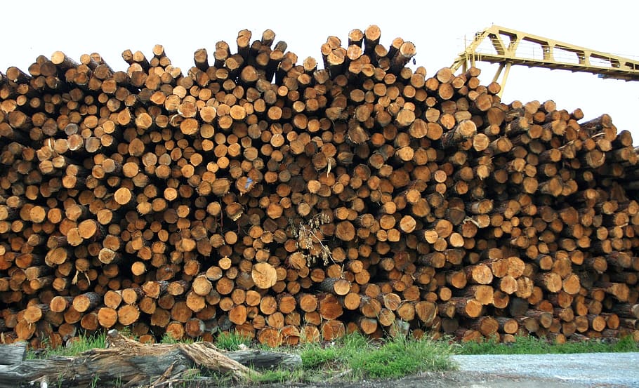 brown log lot, lumber, logs, wood, timber, pile, material, industry, cut, logging